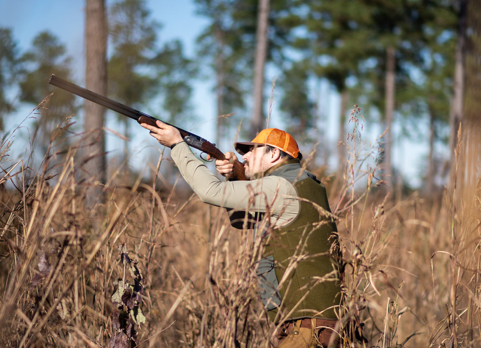 Calling Mr. Bobwhite