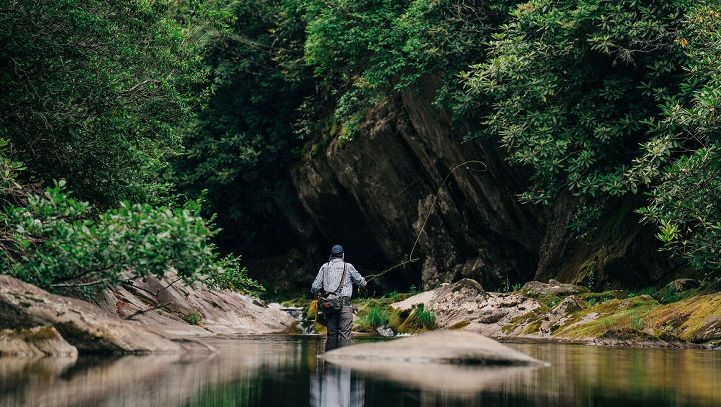 Eye Candy: Troutfecta Trip to Pisgah