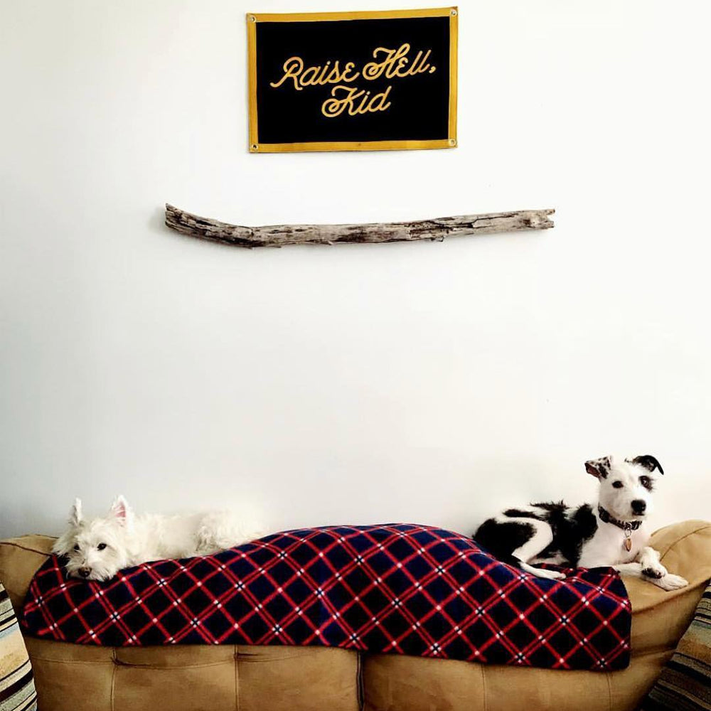 Oxford Pennant Raise Hell, Kid Camp Flag