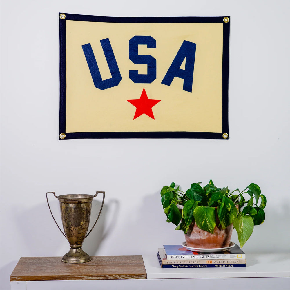 Oxford Pennant USA Camp Flag