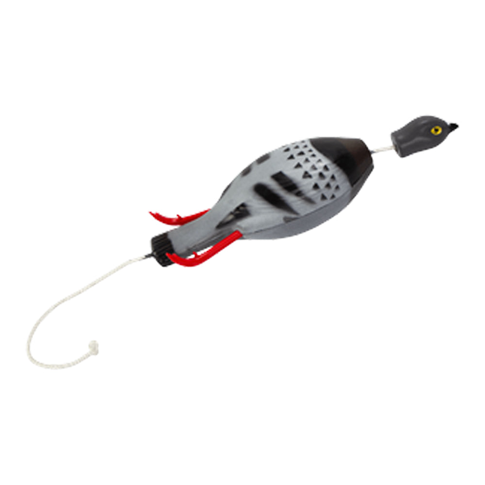 Dokken Dead Fowl Pigeon