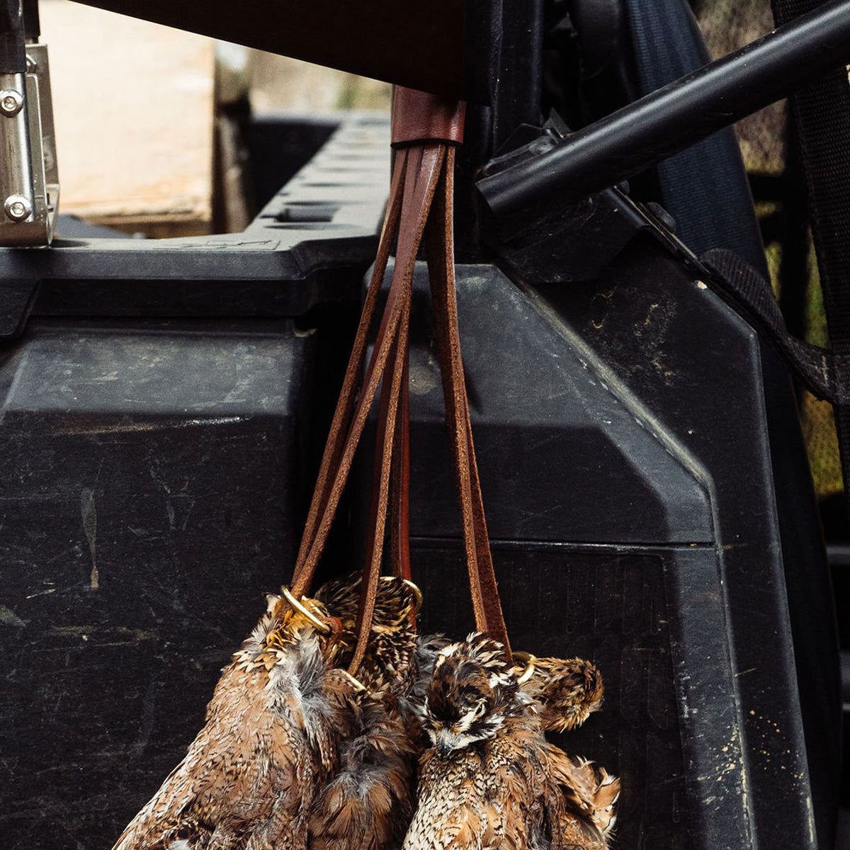 Traveller Leather Bird Straps