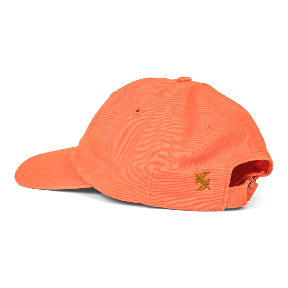 TSG Blast & Cast Dad Hat (Blaze)
