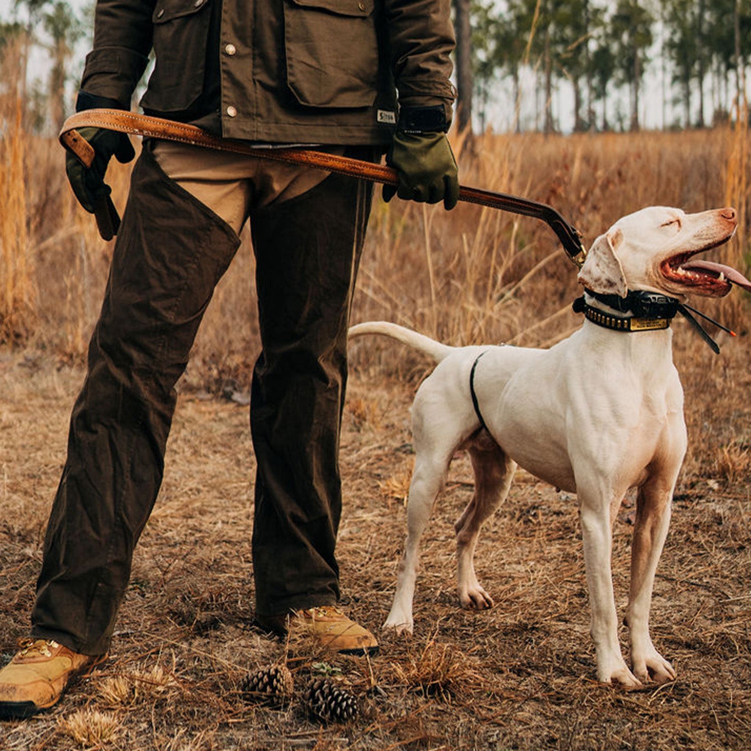 TSG Waxed Briar Chaps (Rustic Olive)