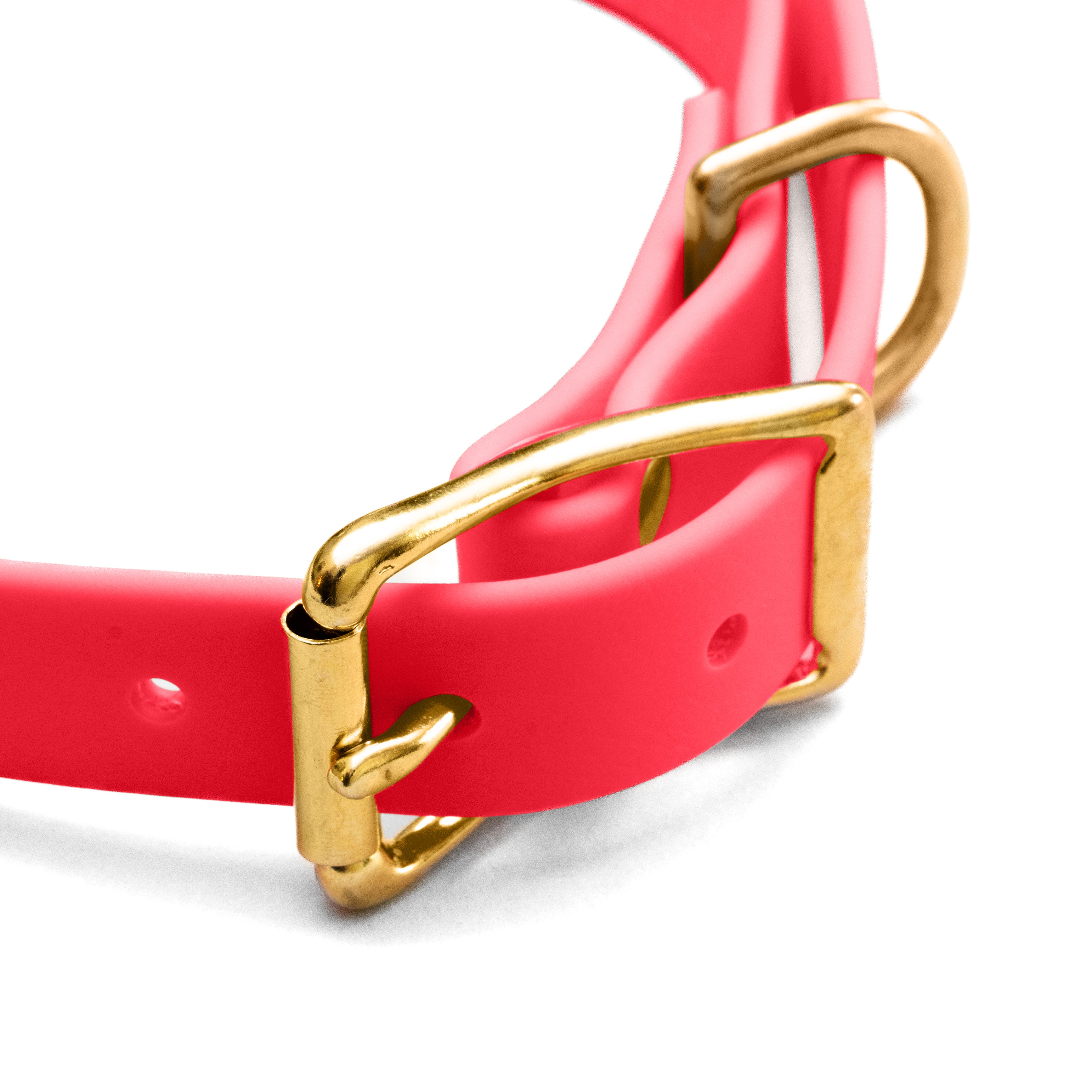 Traveller BioThane® Field Collar