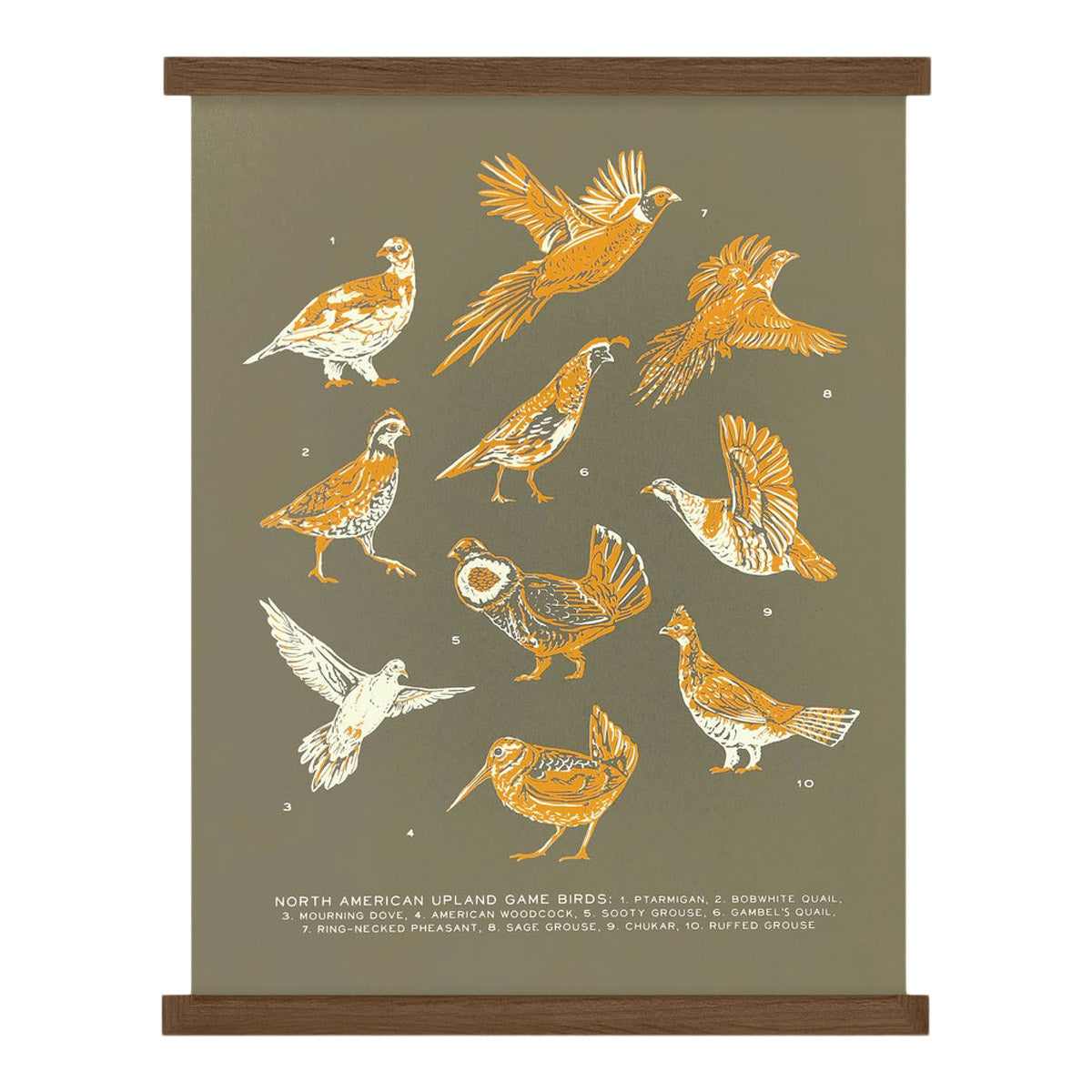 The Wild Wander Upland Game Birds Guide Print