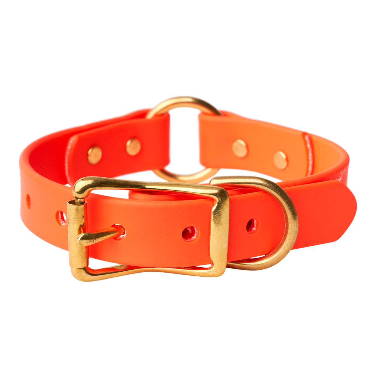 TSG Field Collar