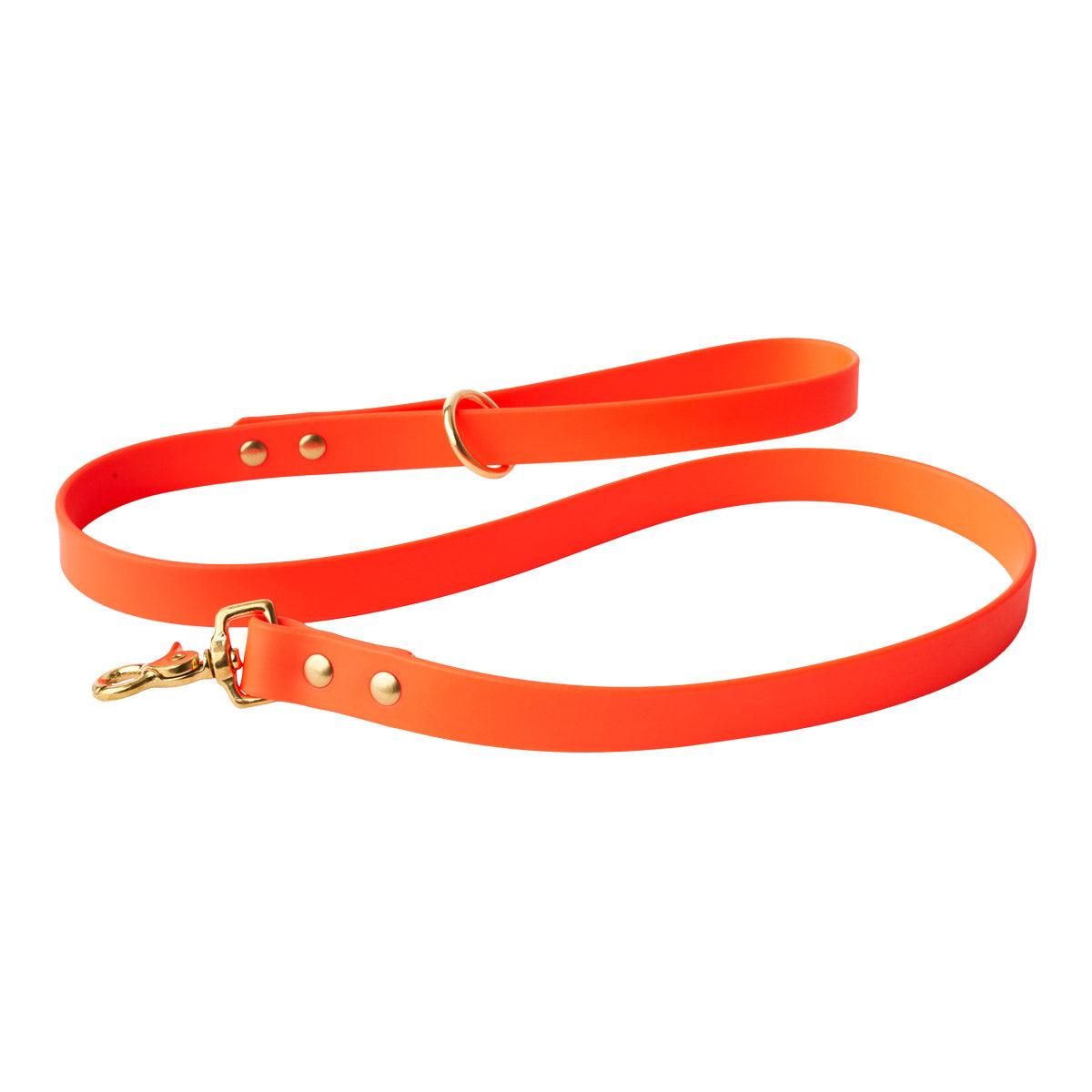 TSG Field Dog Lead