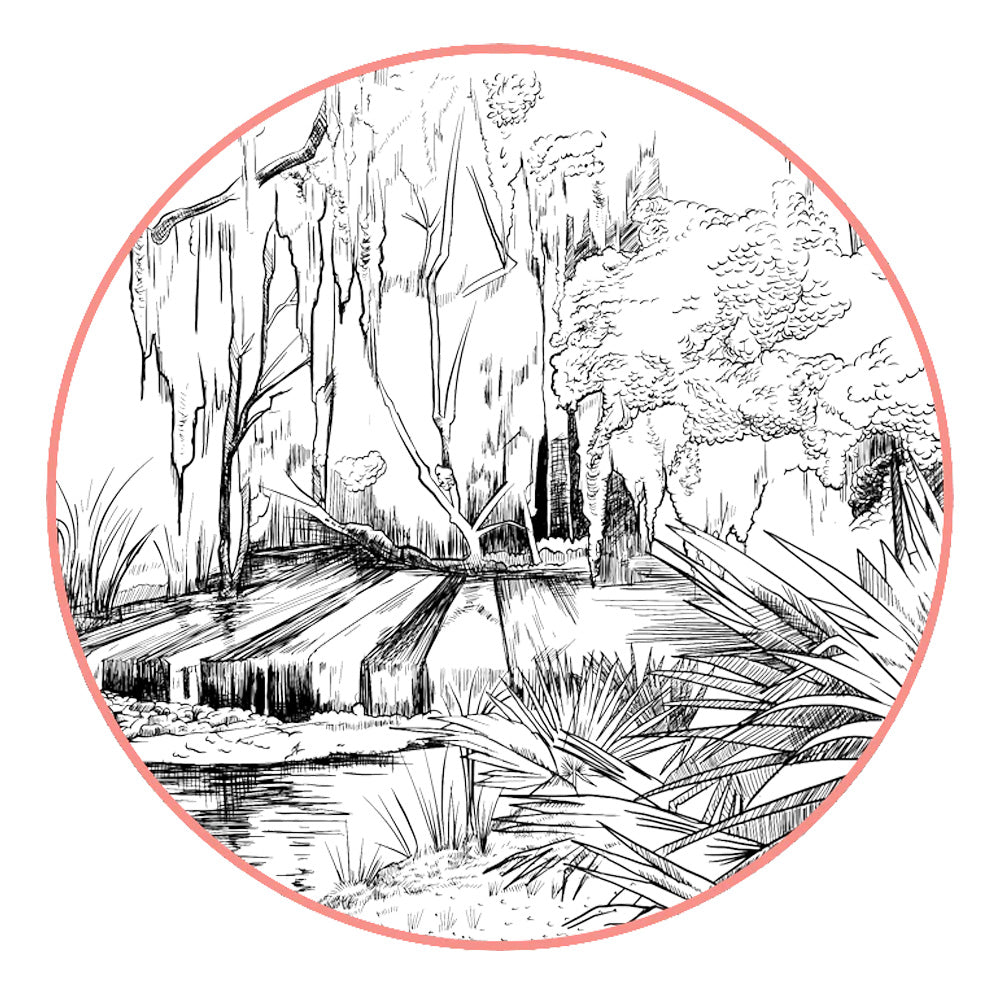 Fulton & Roark Formula 5 Oil