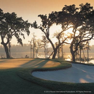 Golf Courses: Fairways of the World