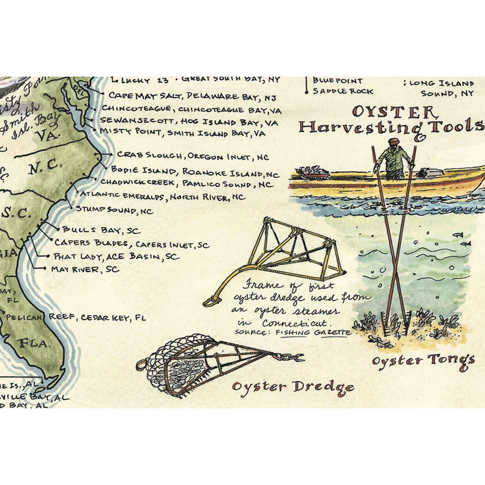 New World Cartography Oysters of North America