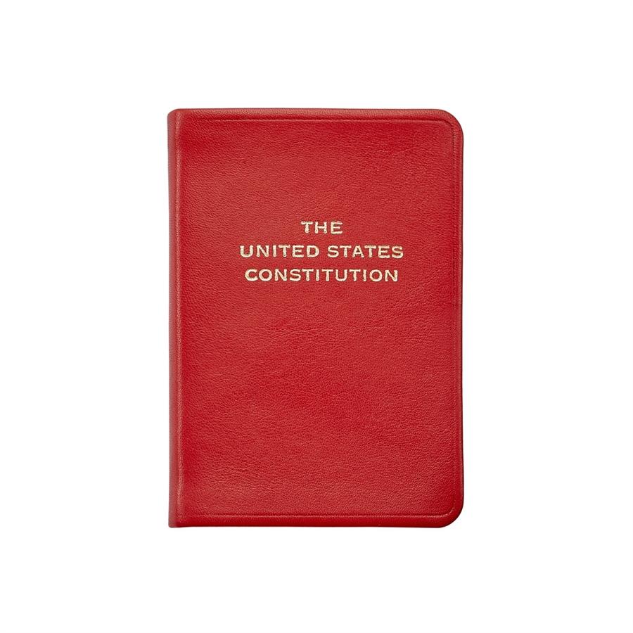 The Mini United States Constitution
