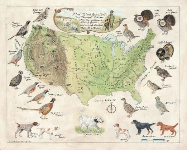 New World Cartography Upland Game of the US Print
