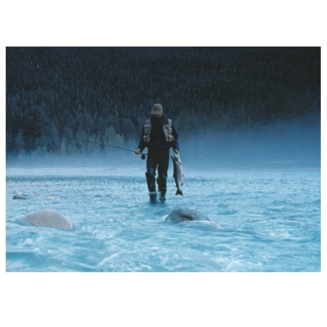 Salt, Coastal and Flats Fishing Photography by Andy Anderson