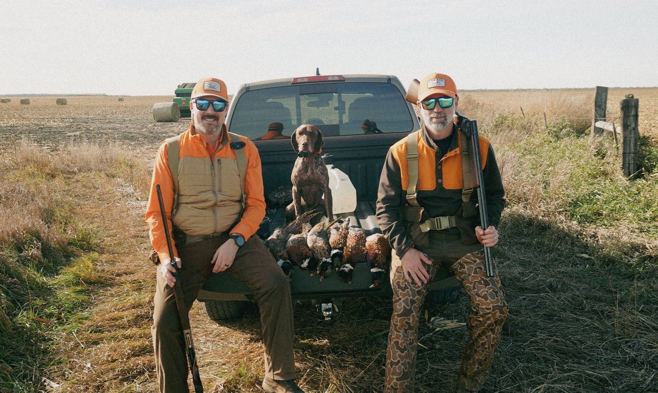 Ringnecks and Roosters