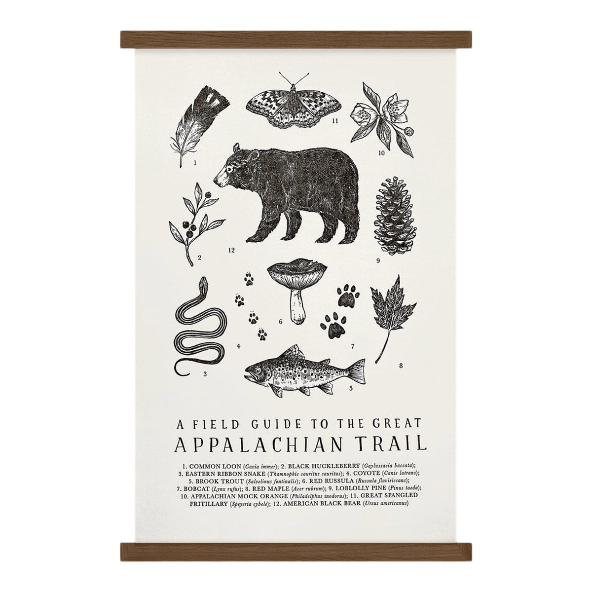 The Wild Wander Appalachian Trail Guide Print