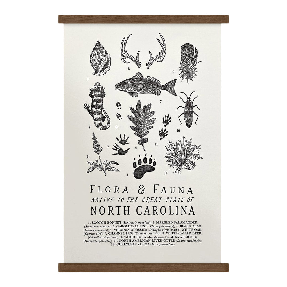 The Wild Wander North Carolina Field Guide Print