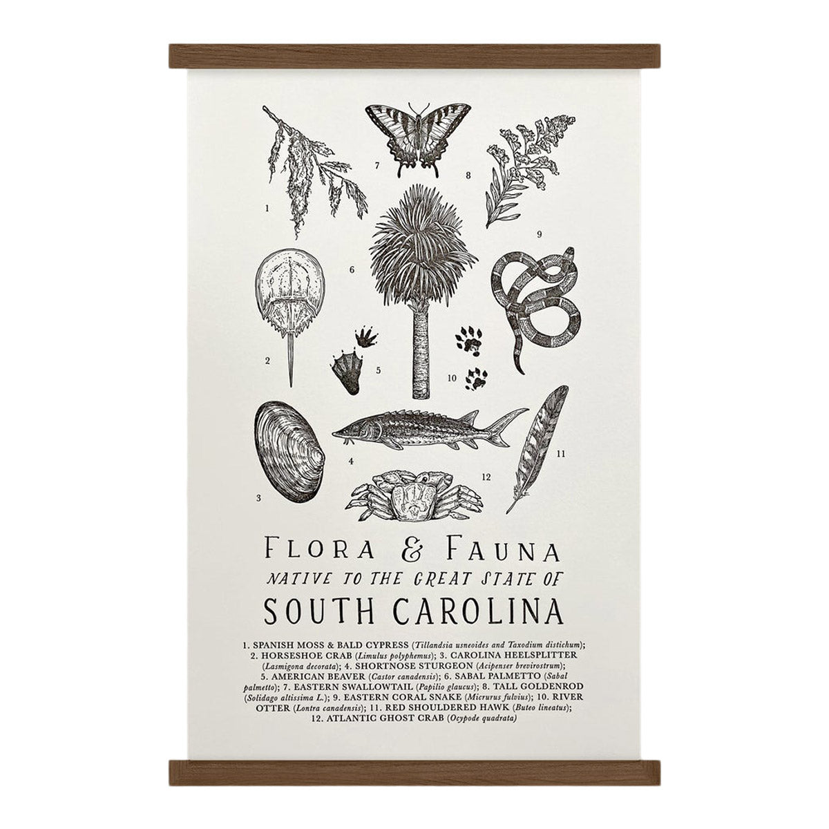 The Wild Wander South Carolina Field Guide Print