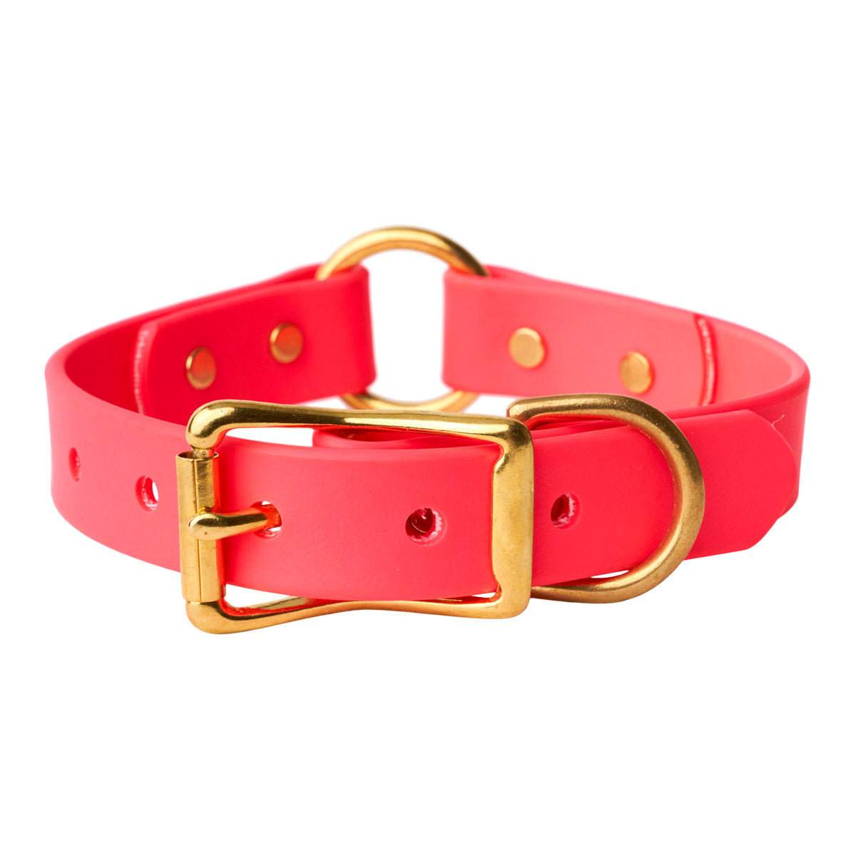 TSG Field Collar