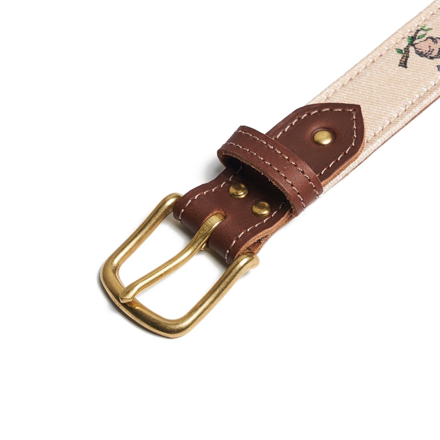 The Hornets Nest Canvas Belt