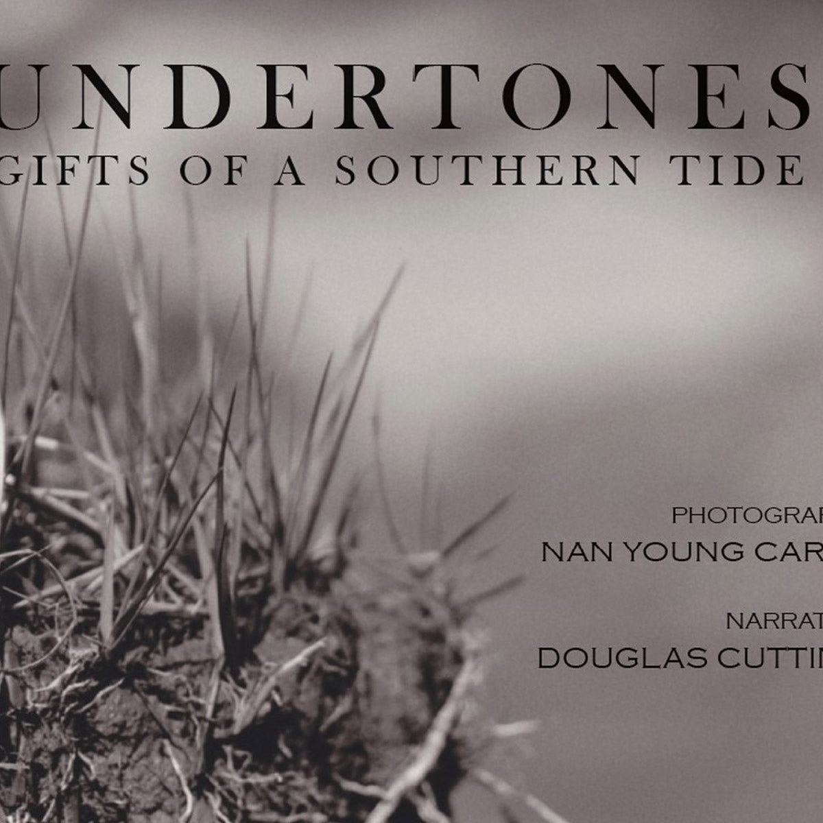 Undertones: Gifts of a Southern Tide