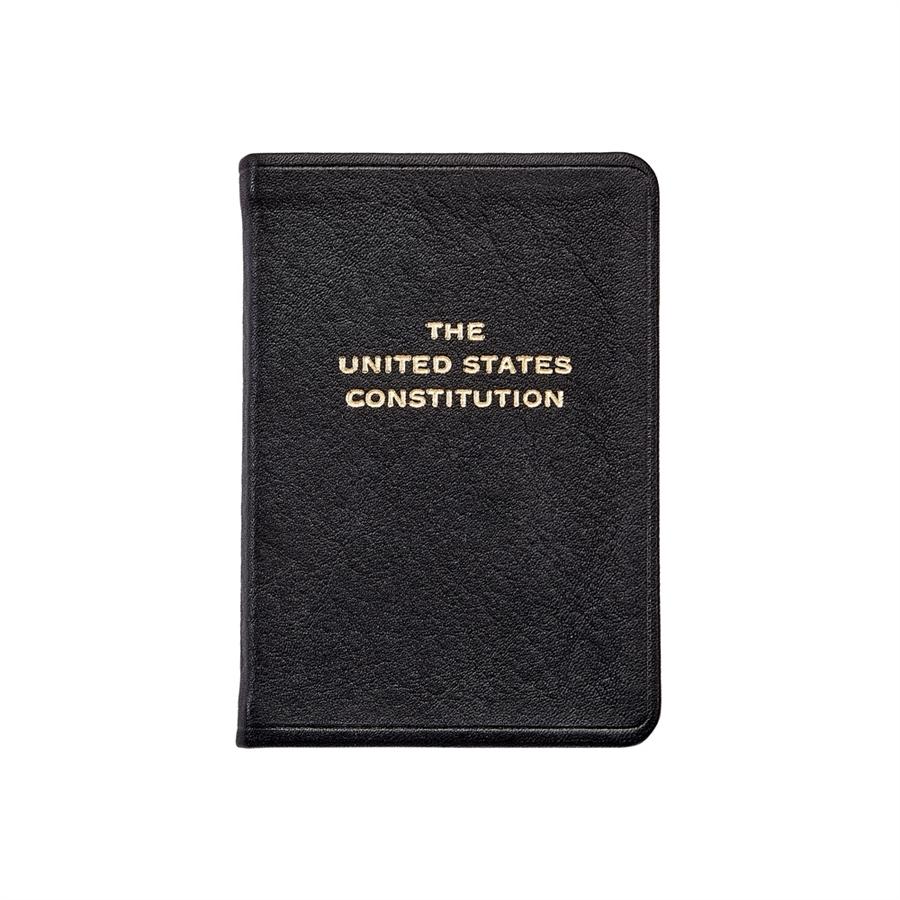 The Mini United States Constitution