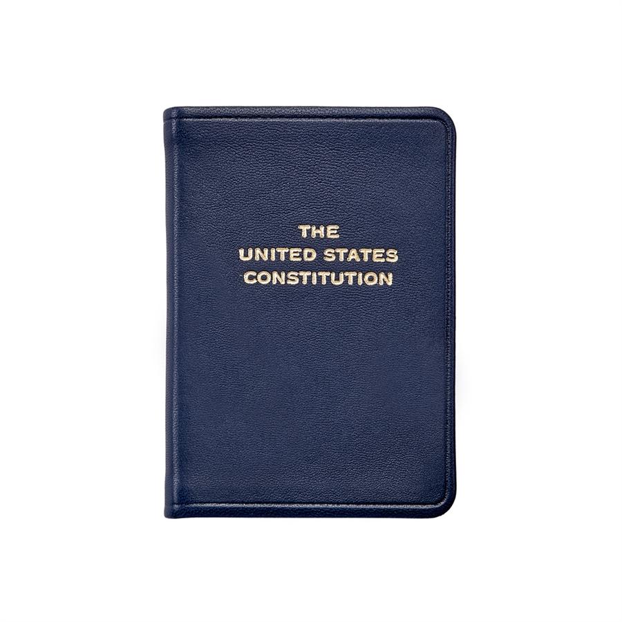 The Mini United States Constitution