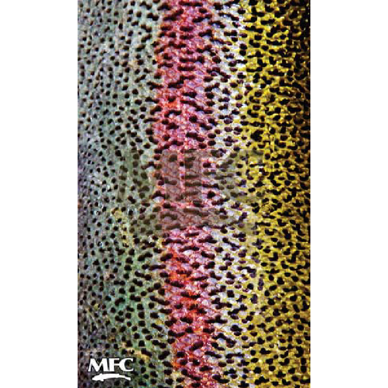MFC Fish Neck Gaiter