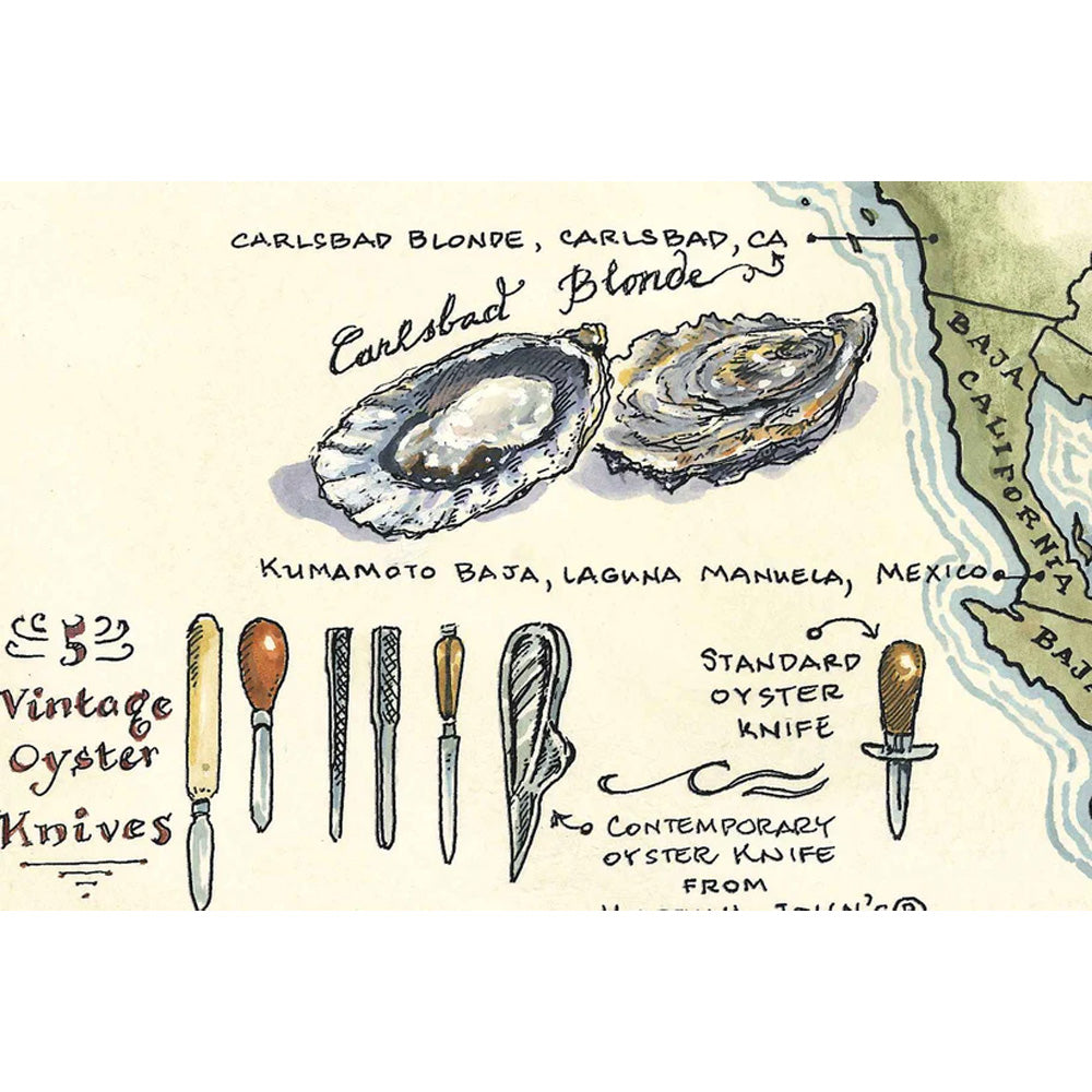 New World Cartography Oysters of North America