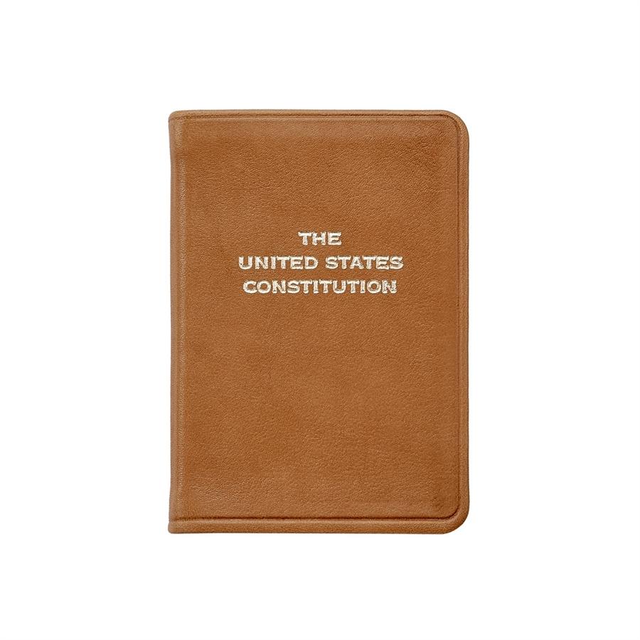 The Mini United States Constitution
