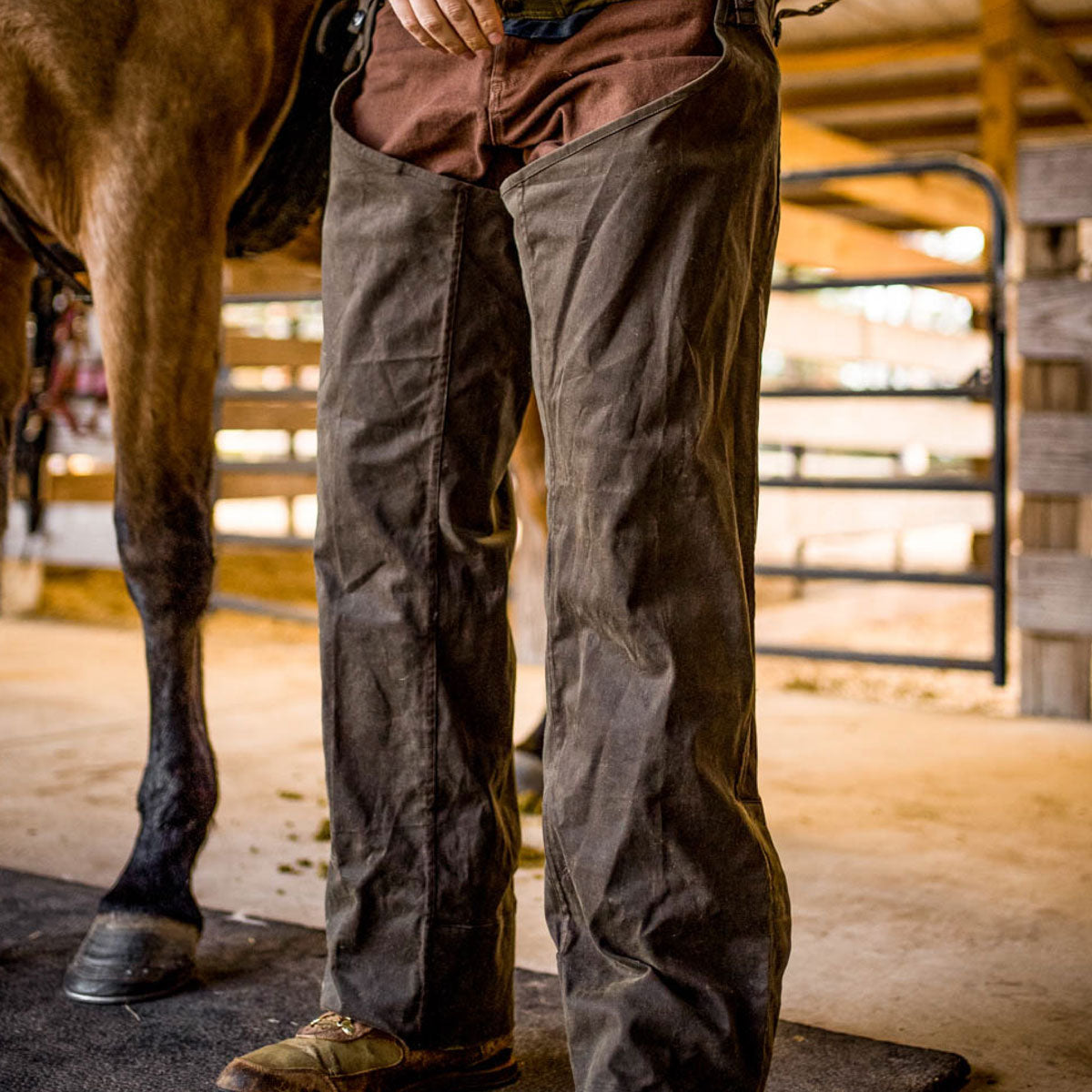 TSG Waxed Briar Chaps (Rustic Olive)