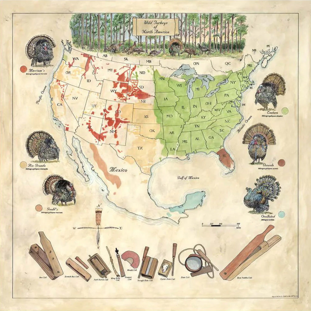 Wild Turkeys of North America Map